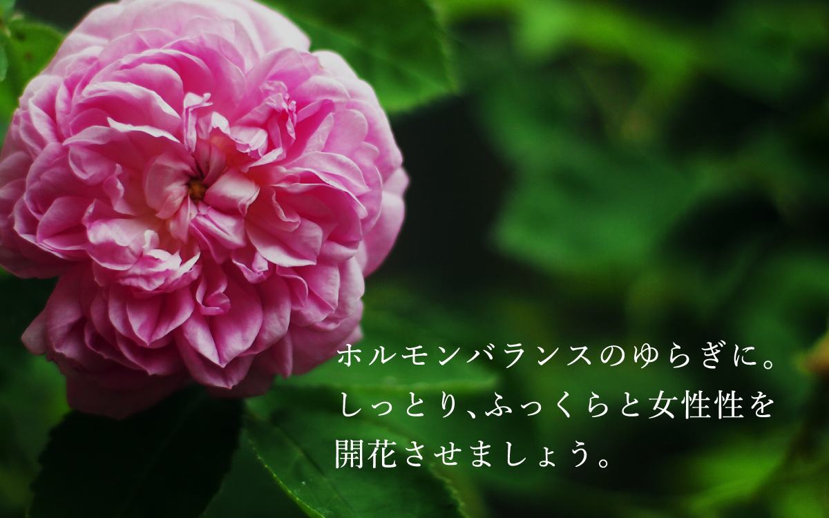 ホルモンバランスのゆらぎに。更年期世代に。しっとり､ふっくらと女性性を開花させましょう。