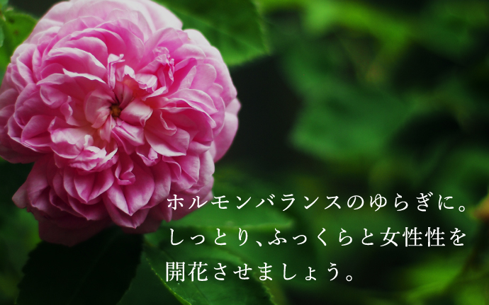 ホルモンバランスのゆらぎに。更年期世代に。しっとり､ふっくらと女性性を開花させましょう。