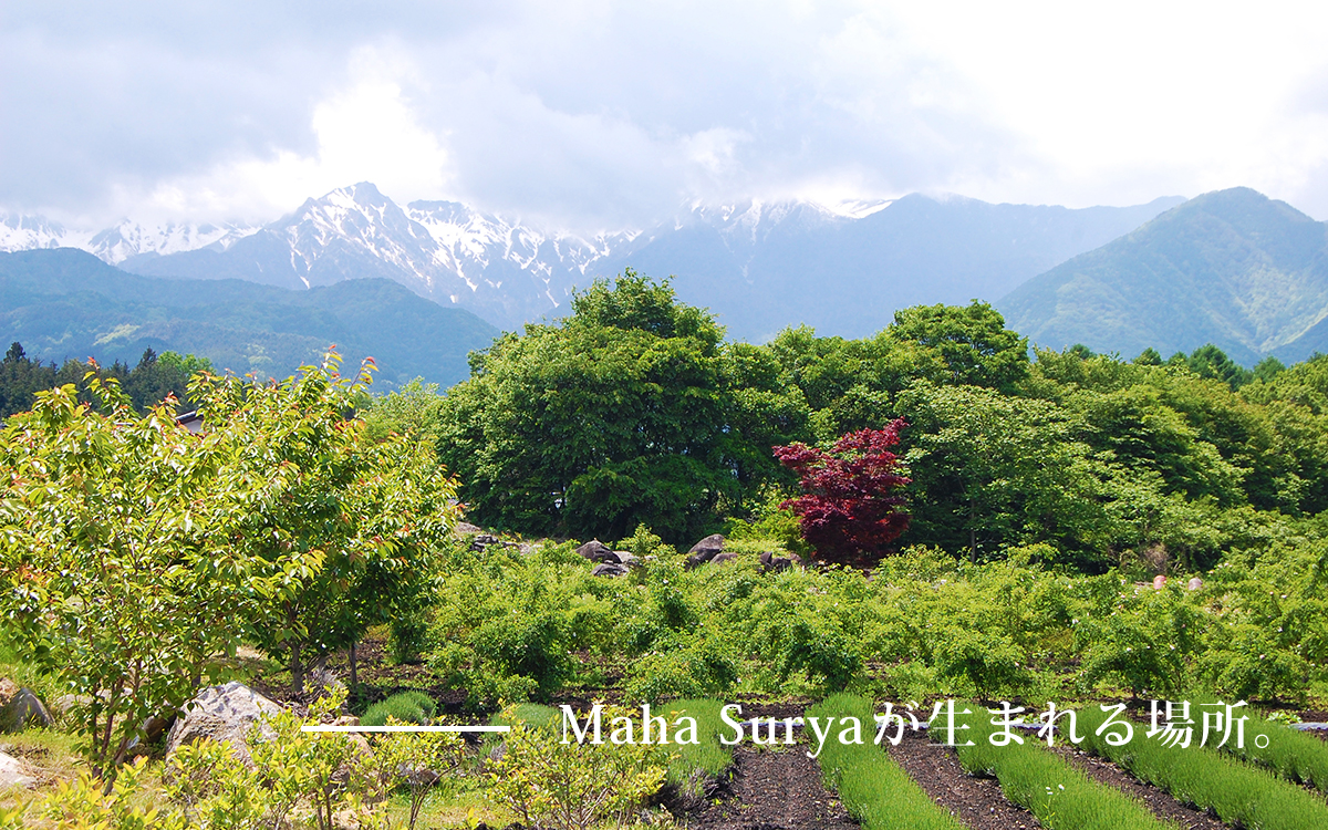 Maha Suryaが生まれる場所