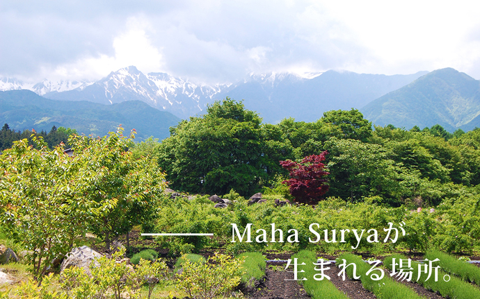 Maha Suryaが生まれる場所